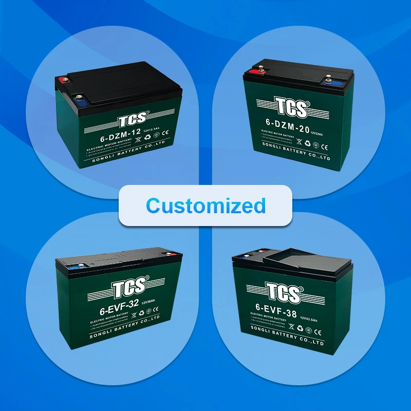 Mass-Market Hits 8 DZM 20 battery operated bicycle 16V 20AH electric bicycle battery TCS recharge battery