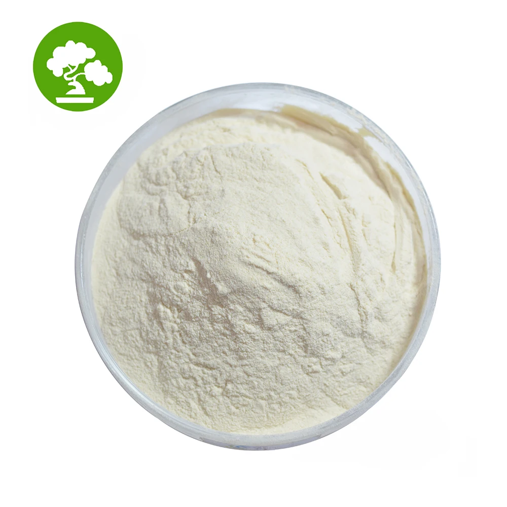 High Quality Xanthan Gum 200 Mesh Xanthan Gum Cosmetic Grade