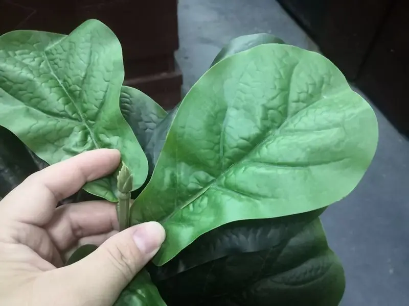Artificial Plant Product Fiddle Leaf Plant Inspection Service Quality Control Service Third Party Inspection Company In China