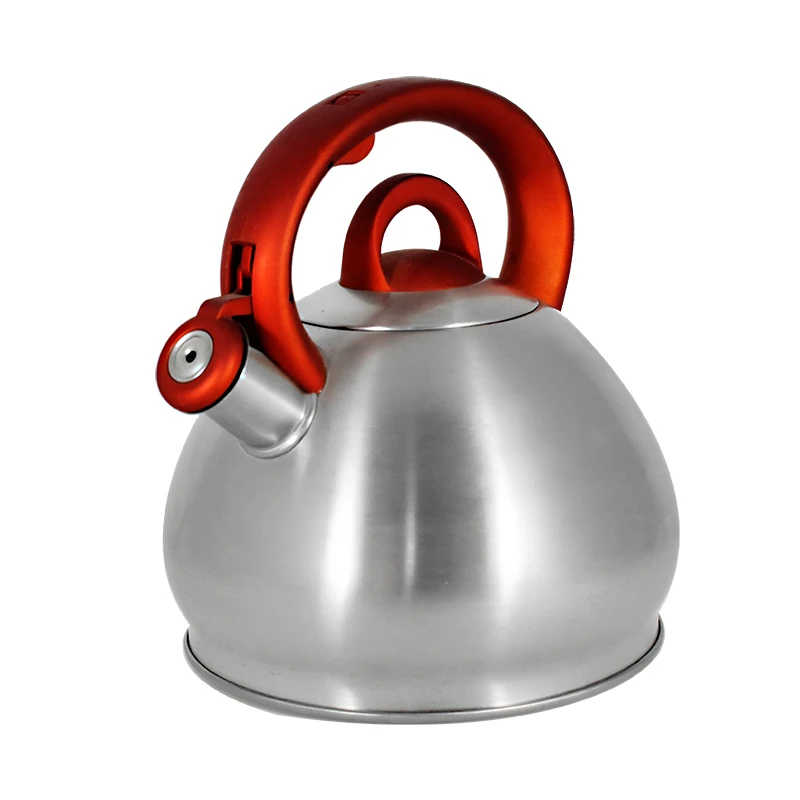 Чайник из нержавеющей стали для индукционной плиты 3 л