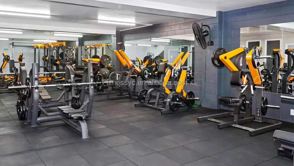 Commercial Gym Exercise Strength Training Bodybuilding Fitness Equipment  Plate Loaded Standing Leg Curl Machine YC-813