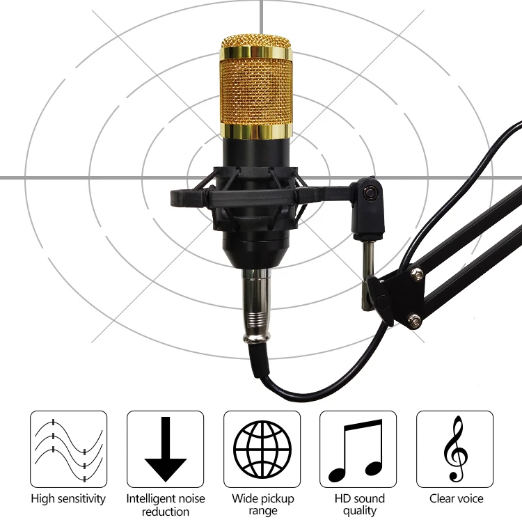 BM 800 Studio Microphone Kits With V8 Sound Card BM800 Condenser Professional Microphone For Computer Recording Podcast TikTok
