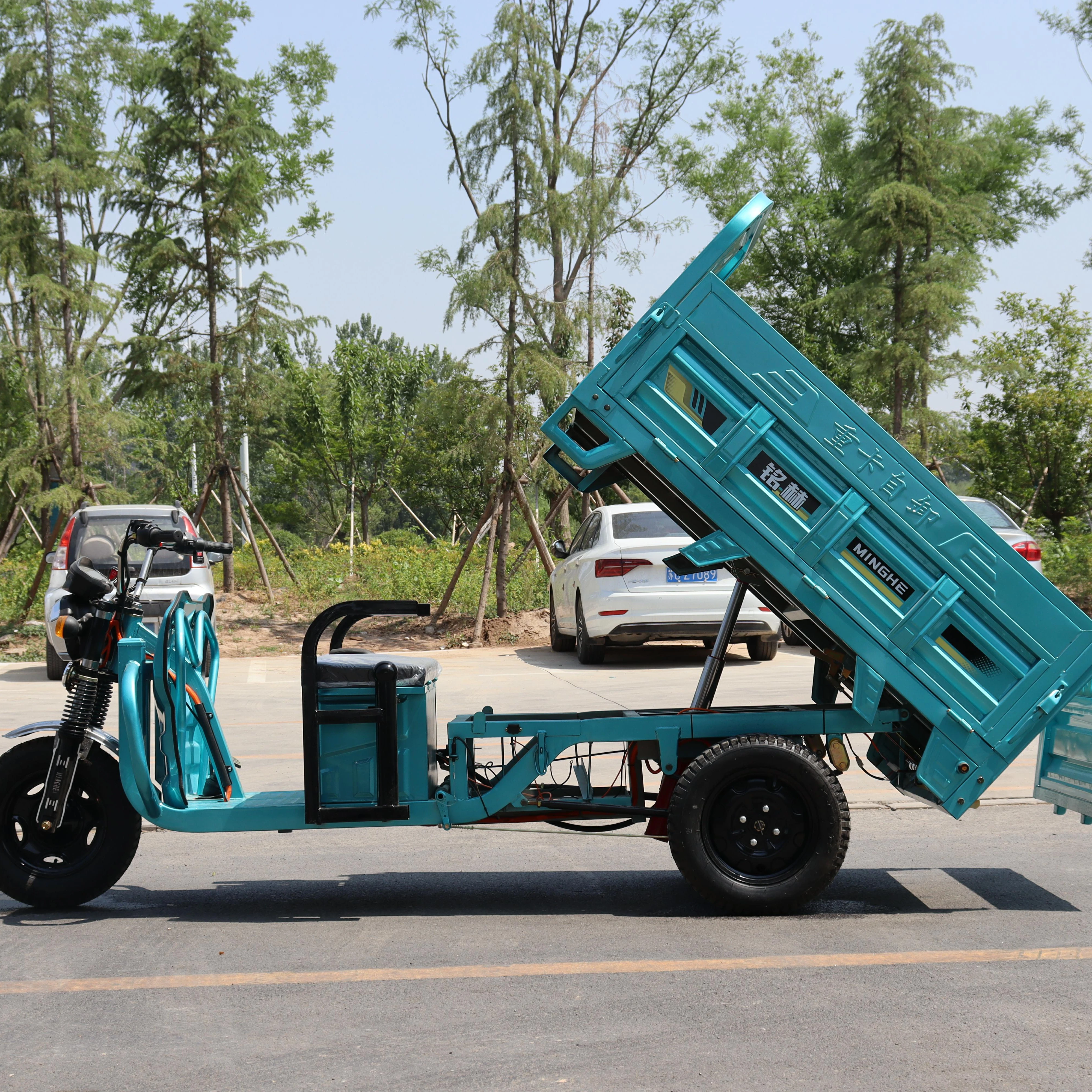 wholesale customized china Electric Tricycles 3 wheels electric bike for adults
