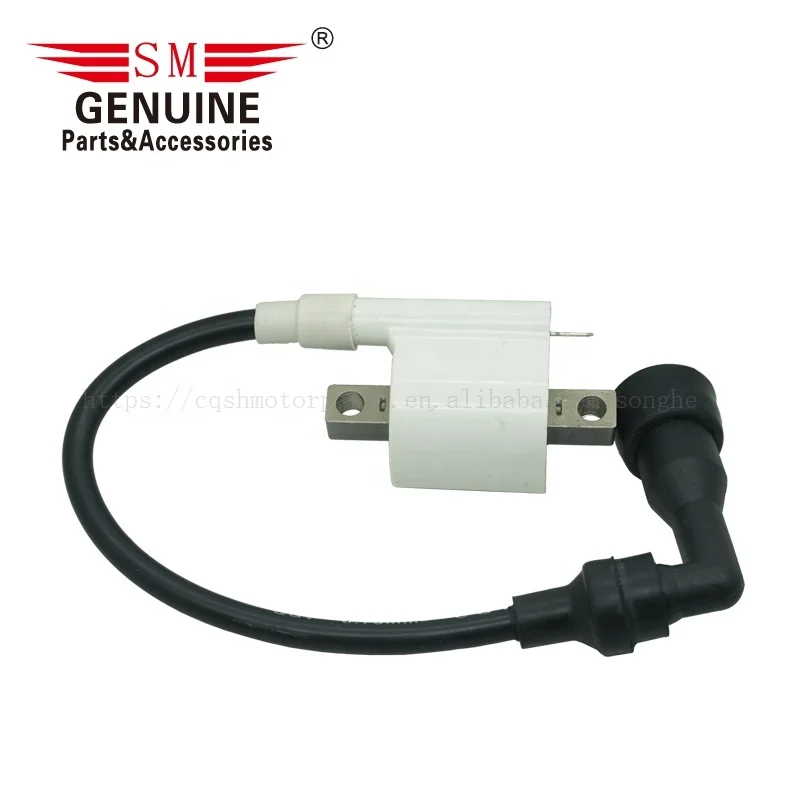 Motorcycle electric parts PULSAR 135 180 XCD125 PLATINO125 DTS-SI pulsar180 ROUSER135 PULSAR135 motorcycle ignition coil