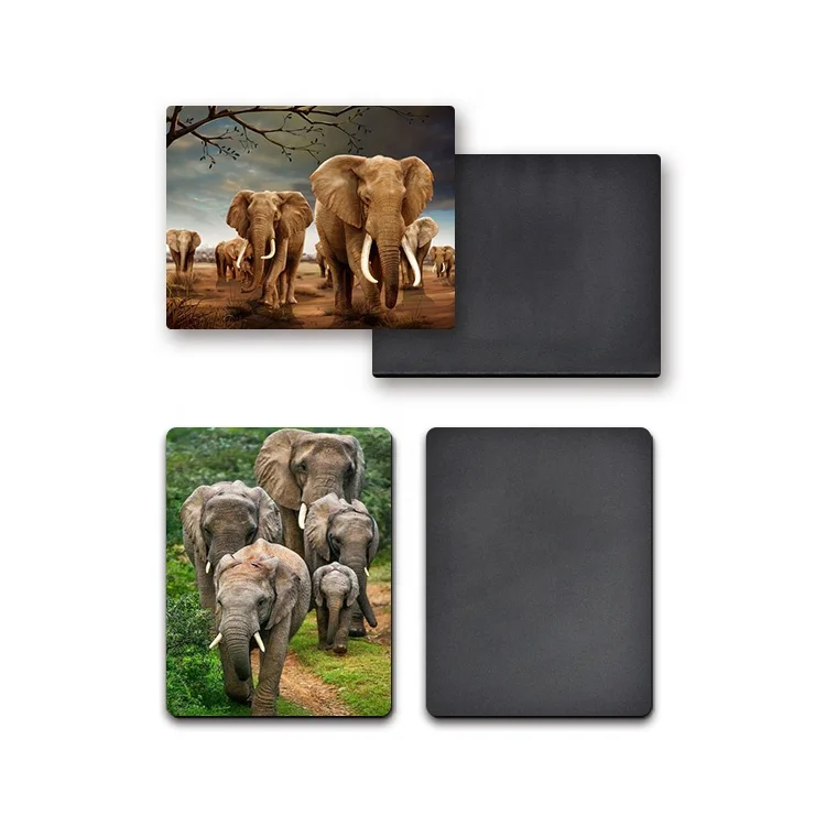 3D Fridge Lenticular Magnet UV Printing Eco - Friendly Material