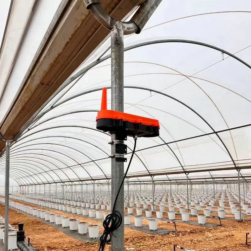 Blueberry plastic film tunnel foil greenhouse