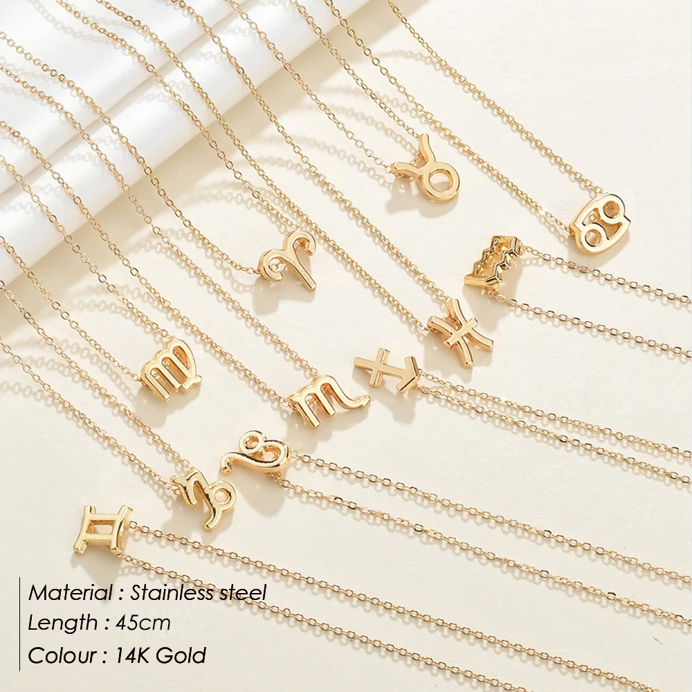 
High Quality Custom Gold Plated Tiny Chains Astrology Stainless Steel 12 Zodiac Sign Necklace Jewelry wholesale 
