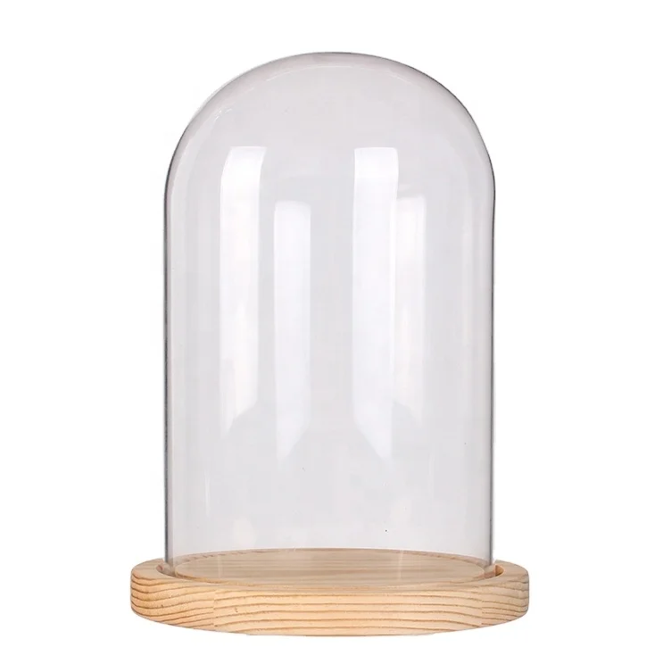 Factory Direct Sale Different Sizes Wooden Base Handmade Clear Glass Dome Cloche
