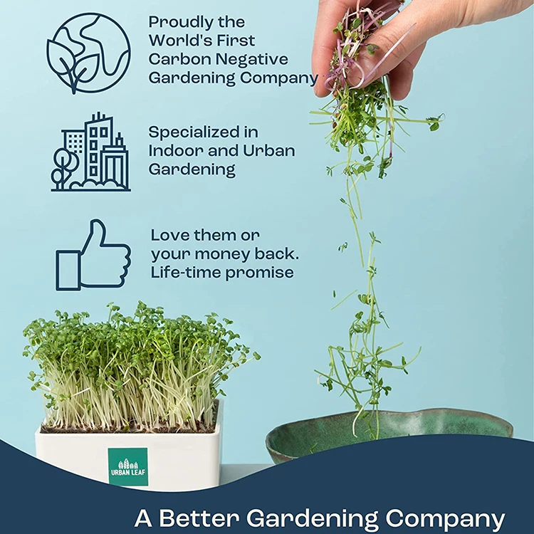 2023  growing sprouting jar starter pot ear flower  grow kit nesting fruits scooper avocado  remover