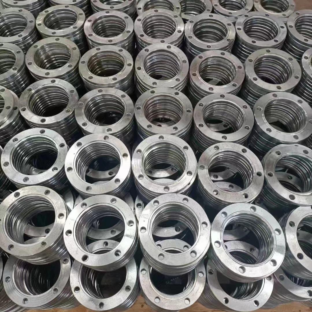 High Quality Stainless Steel 304 316L Forged Threaded Drainage Flanges