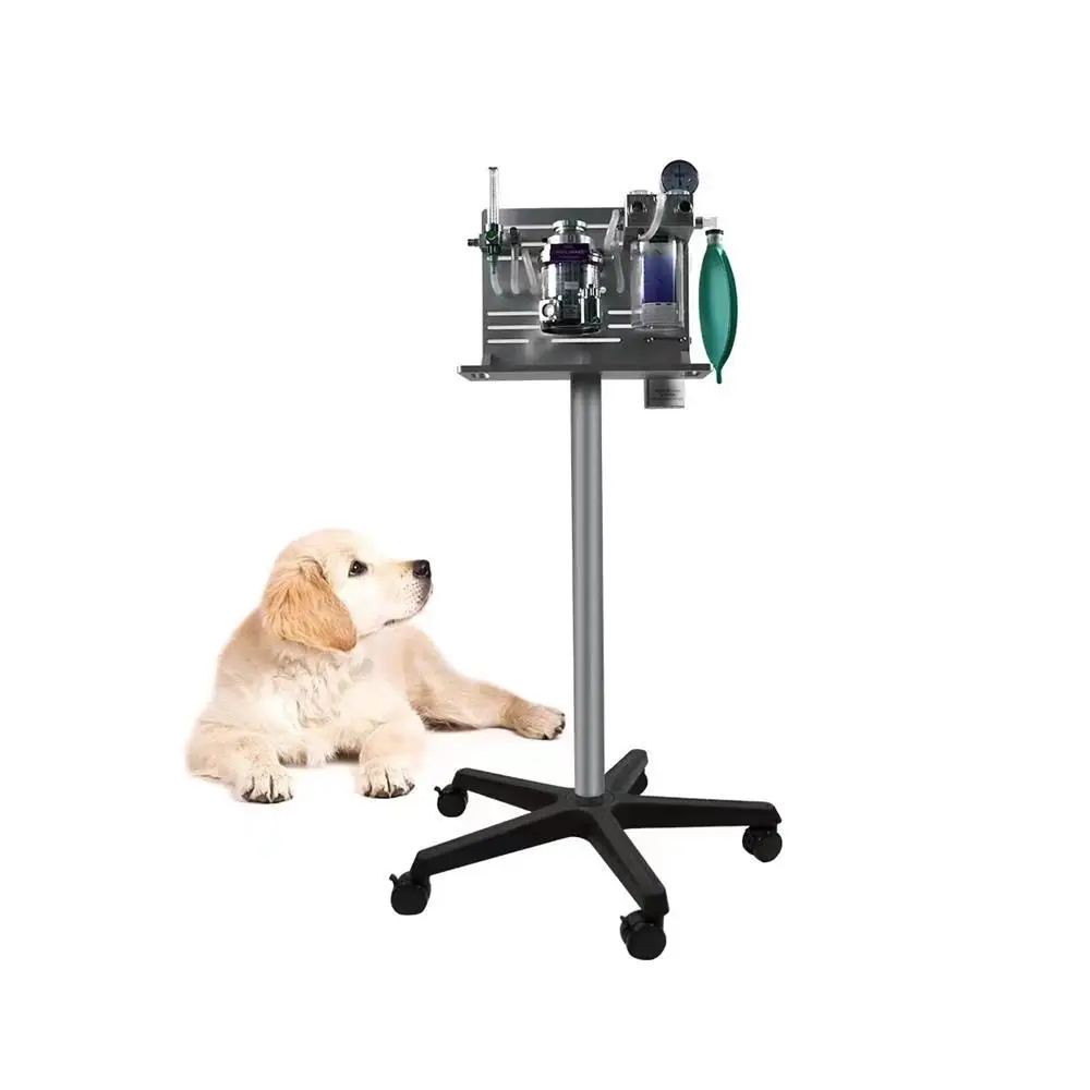 Strength Factory Fast Delivery Veterinaire Veterinary Price Vet Anesthesia Machine For Animal Use