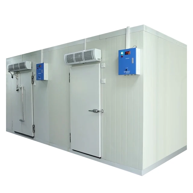 
AIhaosi New Customized Commercially Manufactured Walking-type Cold Fish Freezer Room Storage Room Cold Room Refrigeration Devic 