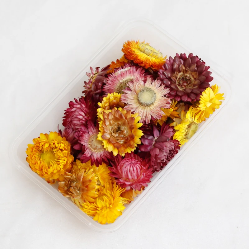 GH-096 wholesale dried flower bag natural bulk lavender daisy preserved dried flower material package heads for decoration