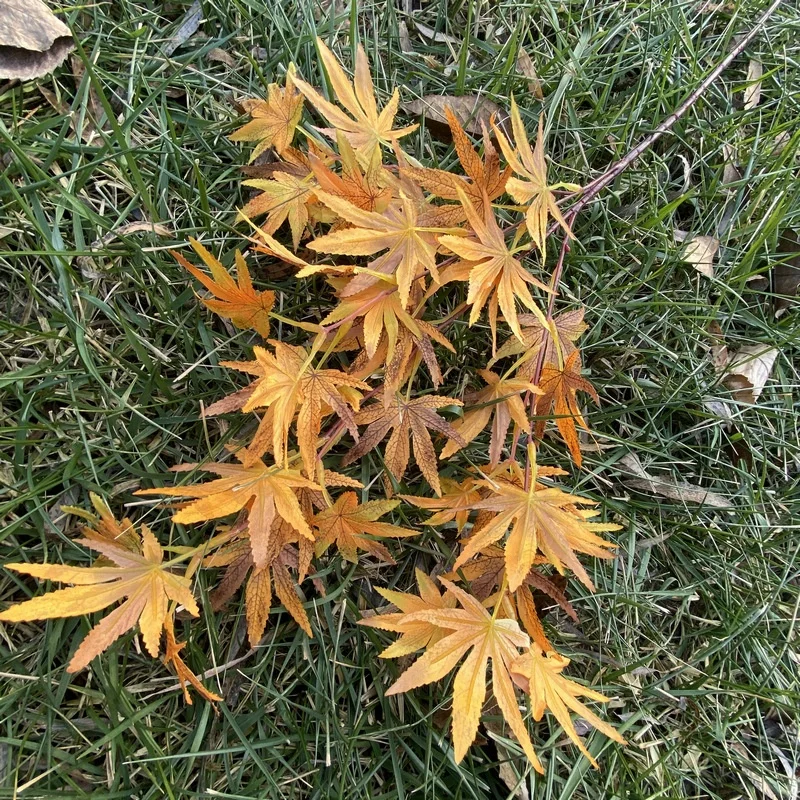 Maple leaf Hot selling cheap Outdoor decorative maple leaf 85cm artificial maple leaf Realistic weeding shooting props