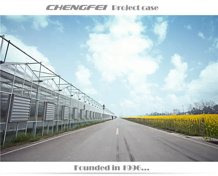 Multi-span Glass Electric Steel Pipe Tube Bending Machine Rebar Bender in Philippines For Vegetable Greenhouse Garden