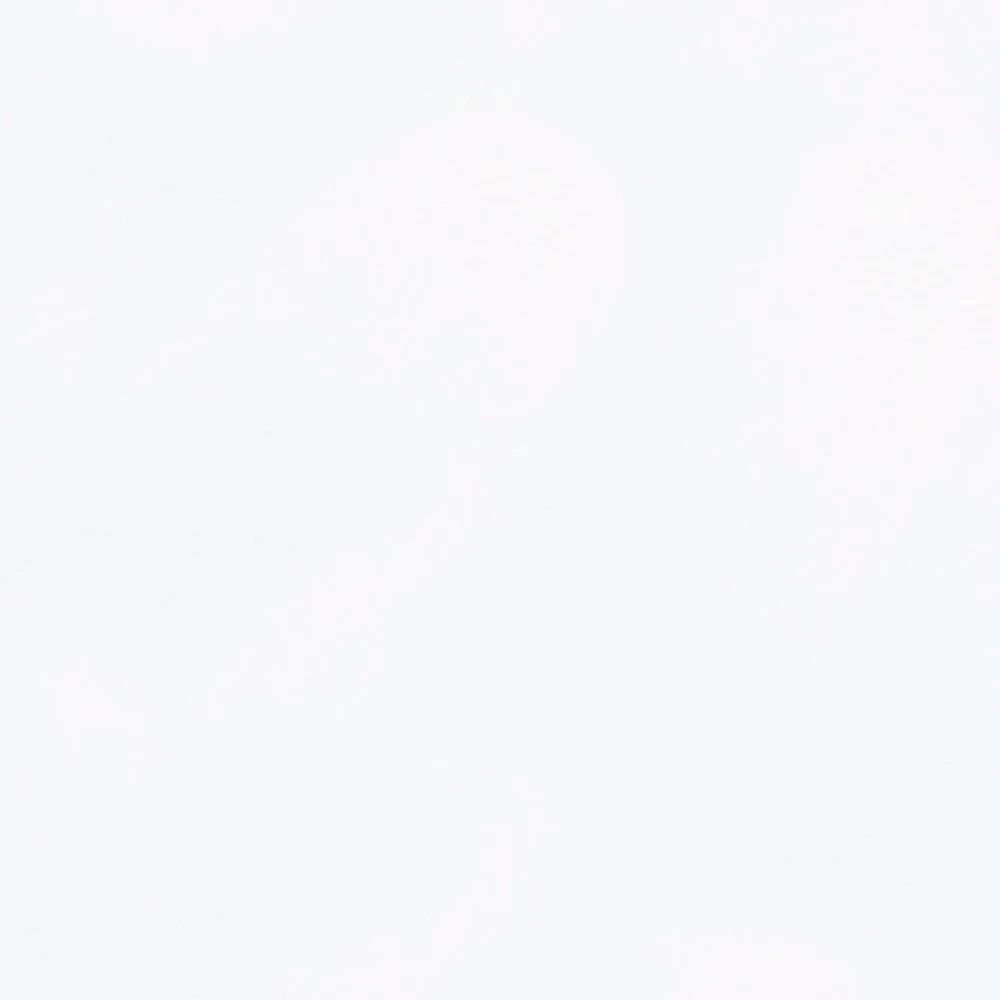 Goodone Modern High Quality 60x60 Glossy White Large Porcelain Super White Floor Tile