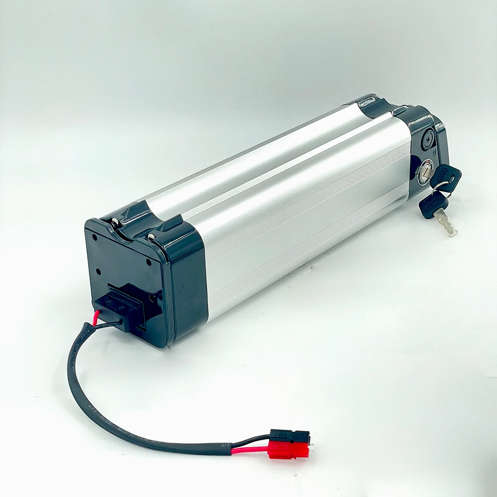 Silverfish Electric Bike 48v 1000w 18650 Cell Lion Lithium Battery with 20ah Nominal Capacity 36v-48v Volt Options