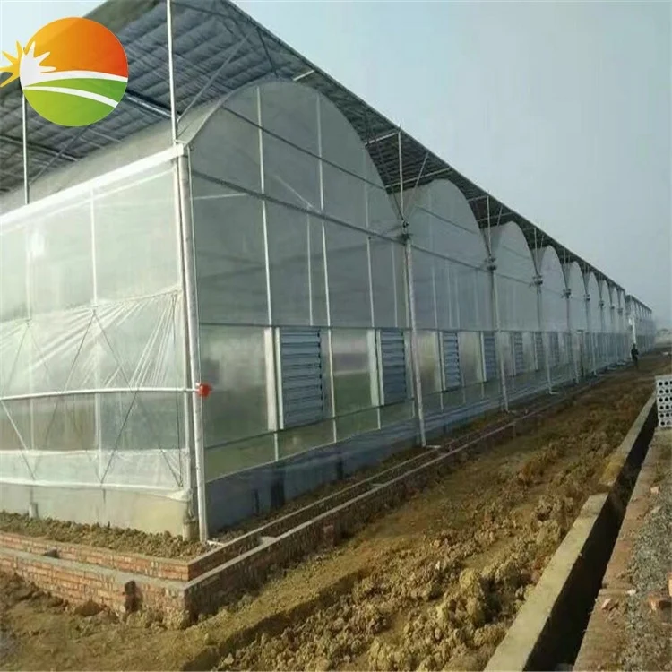 Agricultural greenhouse price wholesale low cost multi-span plastic greenhouse