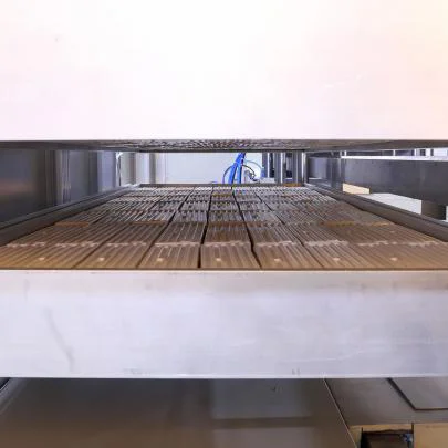 Biodegradable Disposable Bagasse Fast Food Container/Fruit Box/Lunch Box Thermoforming Machine Line