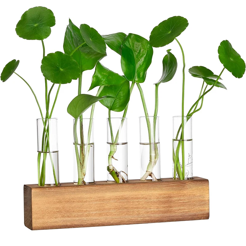 Home Decor Desktop Glass Test Tube Flower Vase Planter Propagation Station Hydroponic Plant Terrarium with Wooden Stand