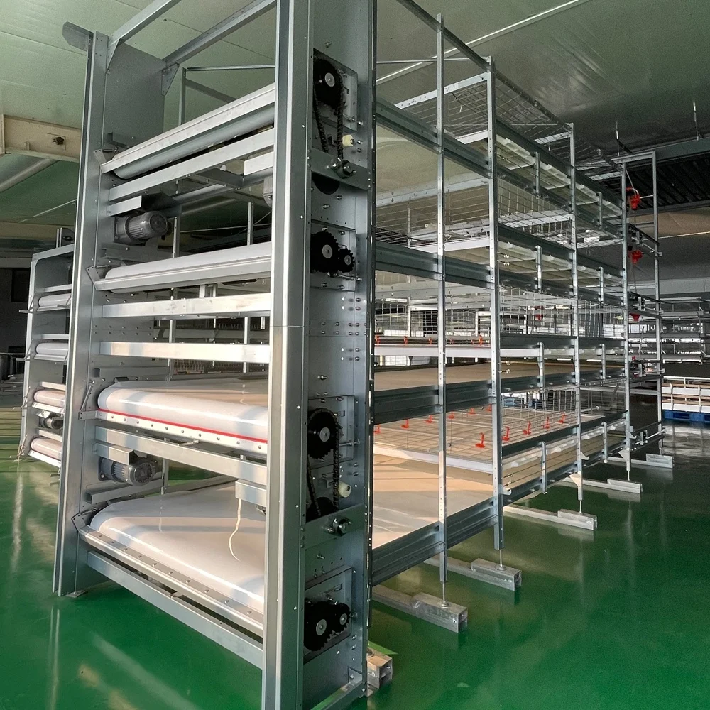 Automatic Bird Harvesting System Pull-Out Floor Big Size H Type Broiler Battery Chicken Cages for Growing