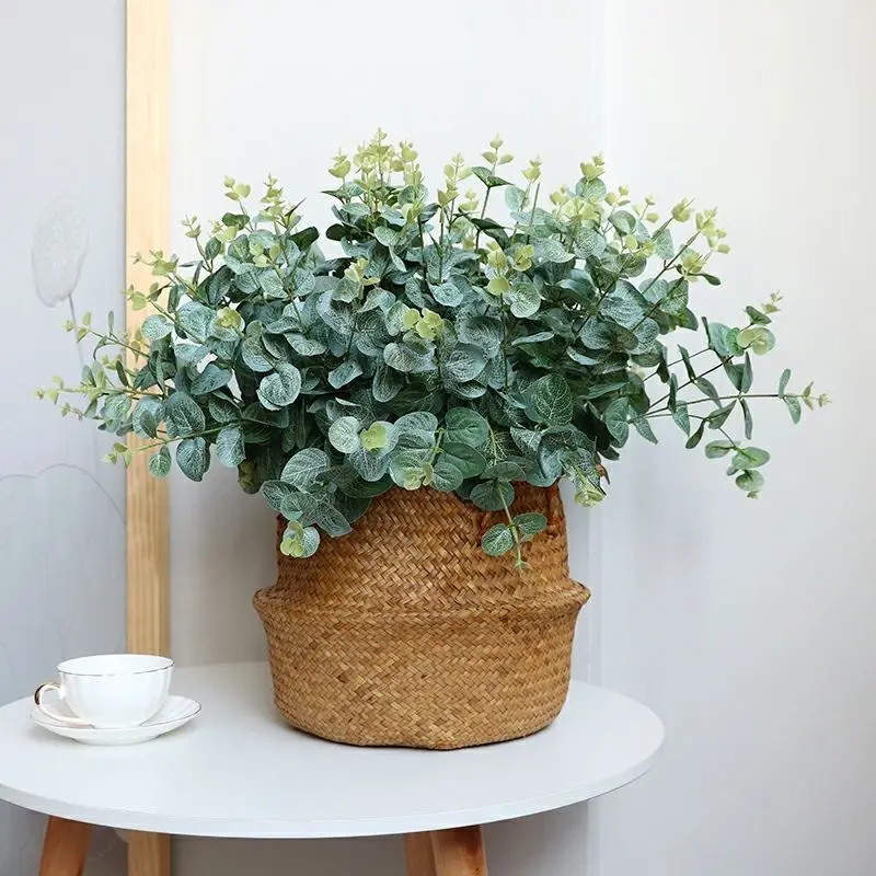 2022 new arrivals  natural dry eucalyptus leaves dried flower decorative