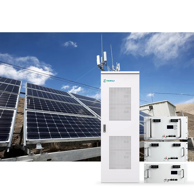 Rechargeable 48v 100ah Li Ion Battery 48vlithium Ion Battery For E Bikes