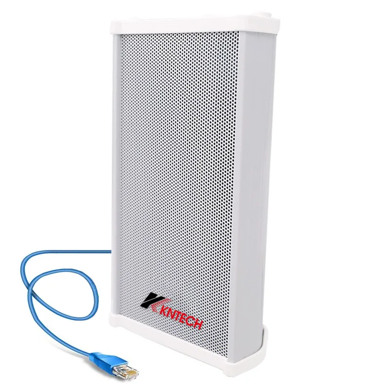 Сетевой SIP-динамик VoIP, языческая система, IP-динамик, Потолочные динамики