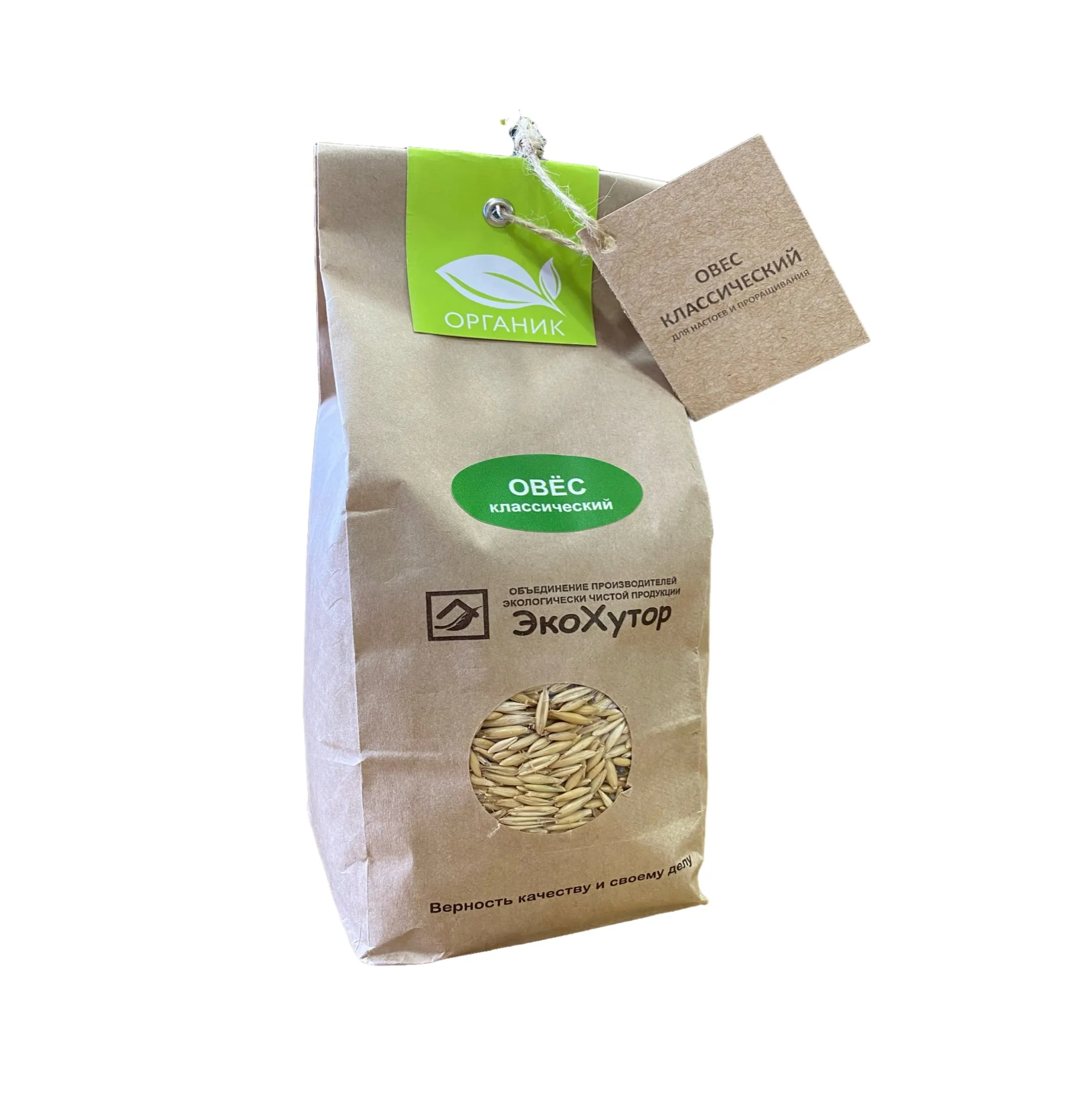 Natural classic oats for infusions and sprouting oats seeds grains whole oats pure natural breakfast cereal