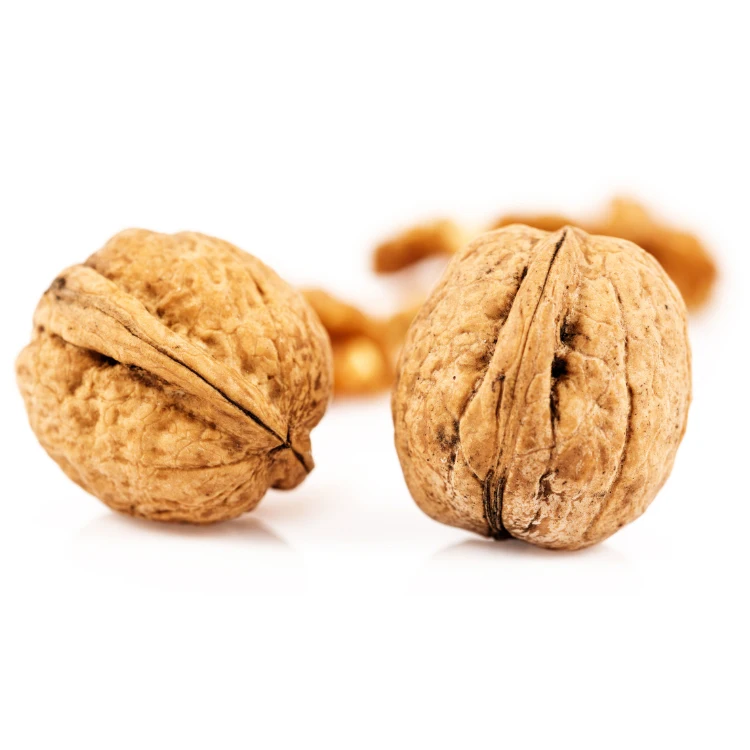Top Quality Wallnut Wholesale Paper Raw 33 185 Walnut Bulk Price Big Walnuts In Shell