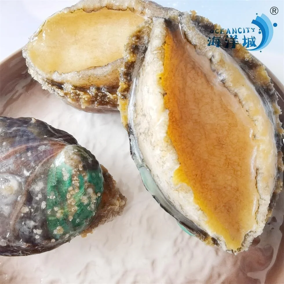 Оптовая Продажа с фабрики китайский продукт вкусные морепродукты моллюски морское ушко для продажи