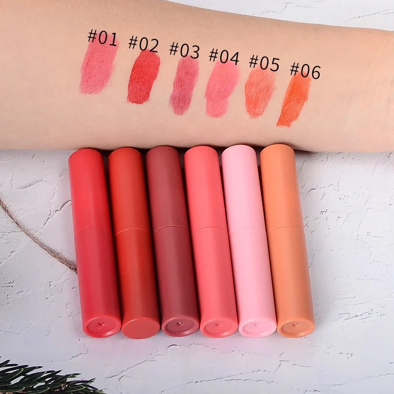 Best Price 6 Color Wholesale Long Lasting Velvet Waterproof matte Liquid Lip Tint Competitive Lip Gloss Lip tint