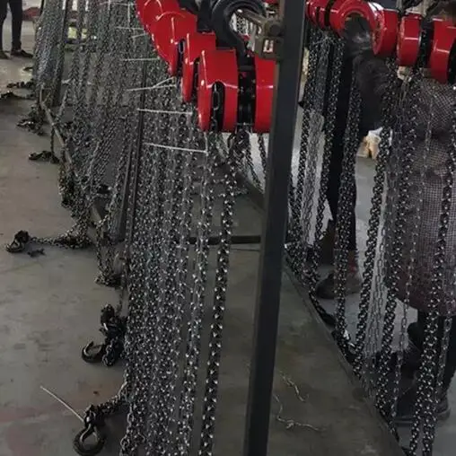High Quality Manual Chain Block Hoist 20 Ton Manual Chain Block Hoist Lifting Chain Hoist Polipasto Manual New Product 2020 500