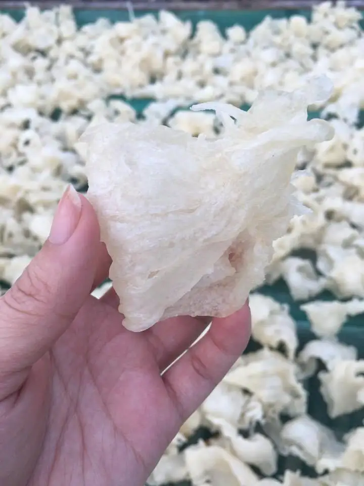 Сушеная рыба баса Maw из Вьетнама с хорошим качеством-сушеные морепродукты стандартный экспорт для всех стран