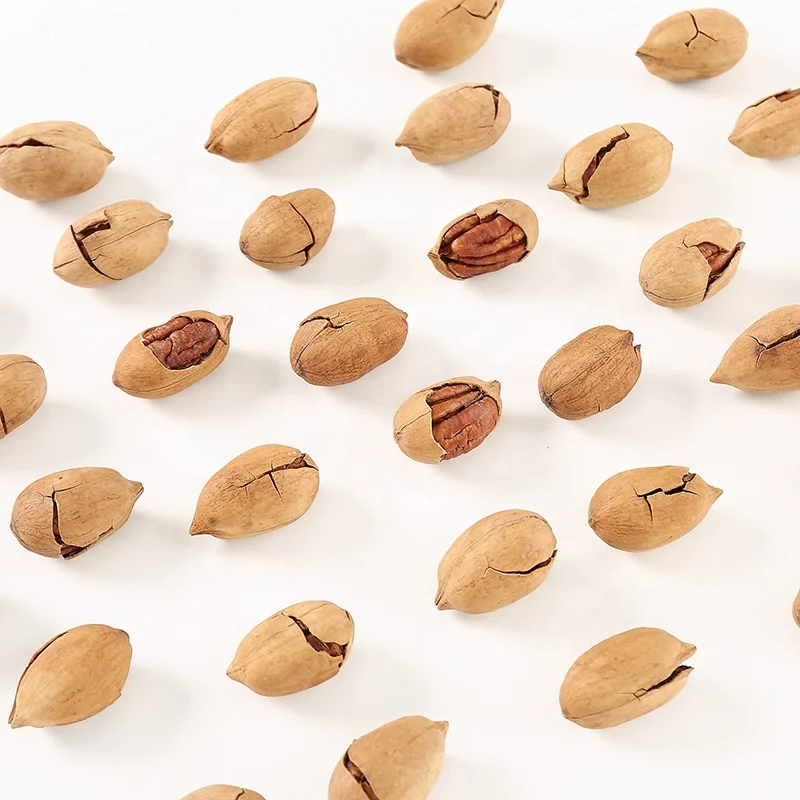Roasted Baked Salted Pecan Nuts with Shell Bags For Sale At Best Prices