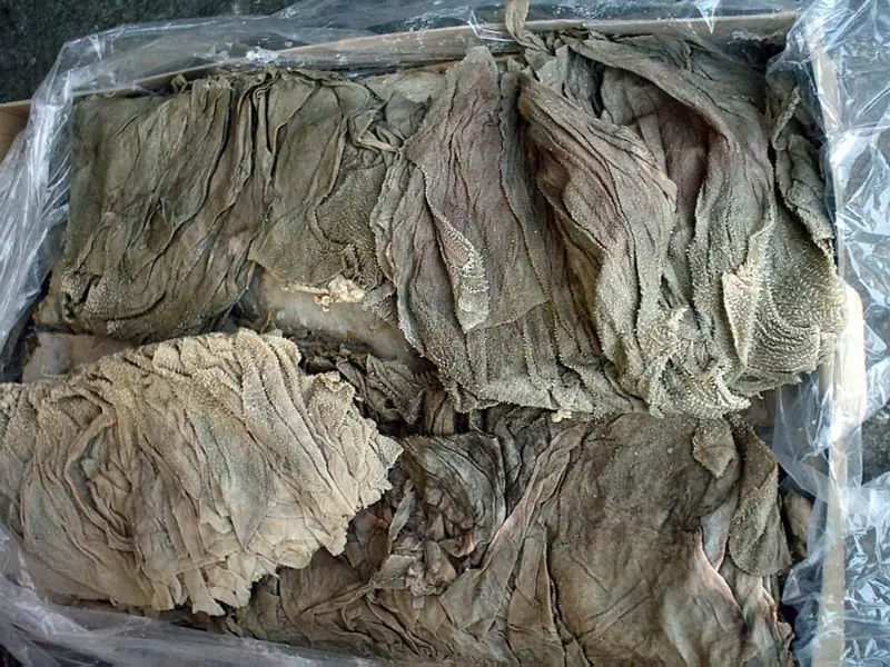 
Frozen Salted Beef Omasum 