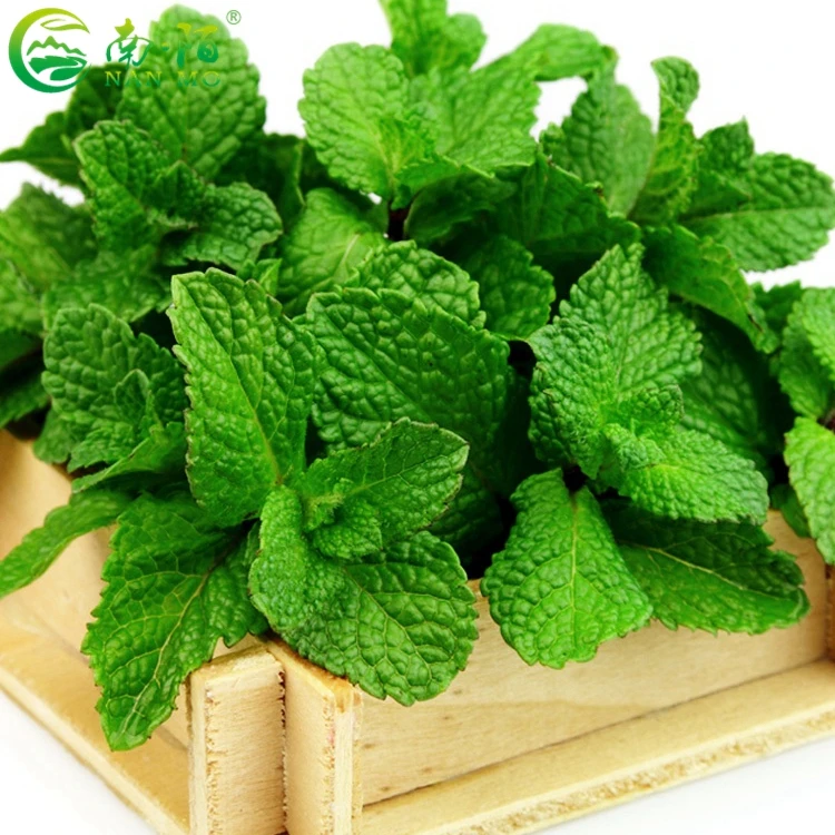 Aromatic Mint Leaves Powder Price Organic Mint powder Peppermint Powder for sale