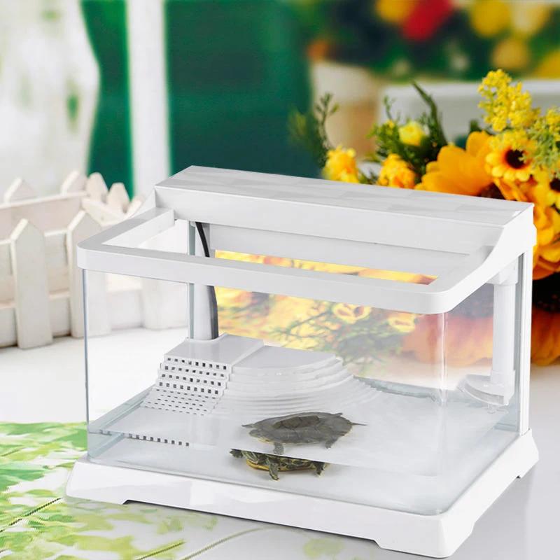 2023 Wholesale Fish Tank Aquarium  Ecological Turtle Creative Small Glass Table Turtle Tank Aquarium
