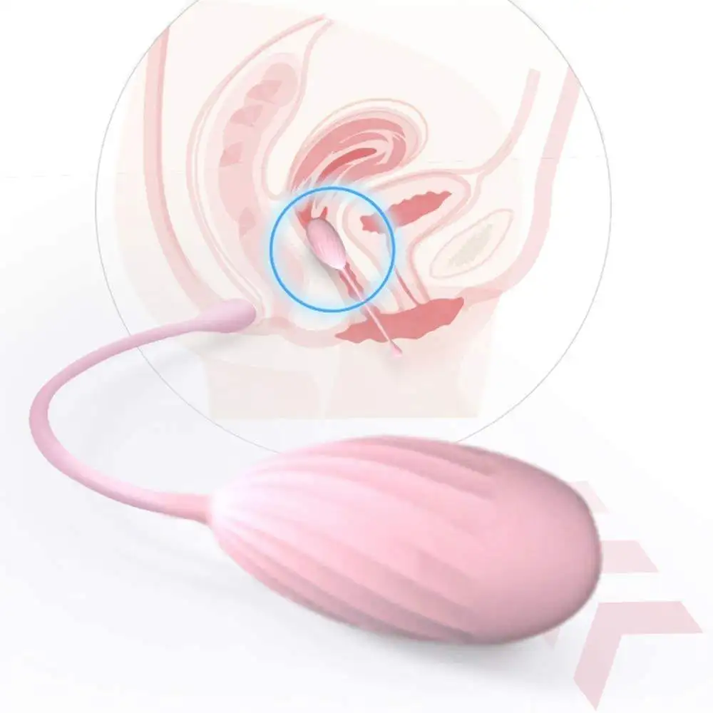 Silicone Egg Shape Weight Ball Kegel Exercises Ball For Women Vagina Control Training