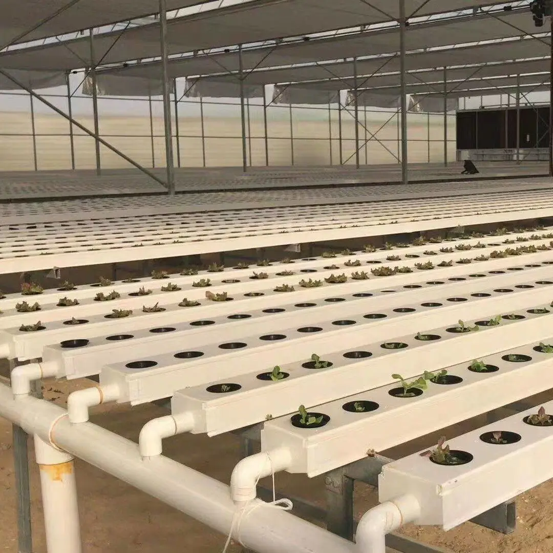 Greenhouse Commercial Plant Agricultural greenhouses nft hydroponic channels pipe pvc square hydroponic nft growing systems