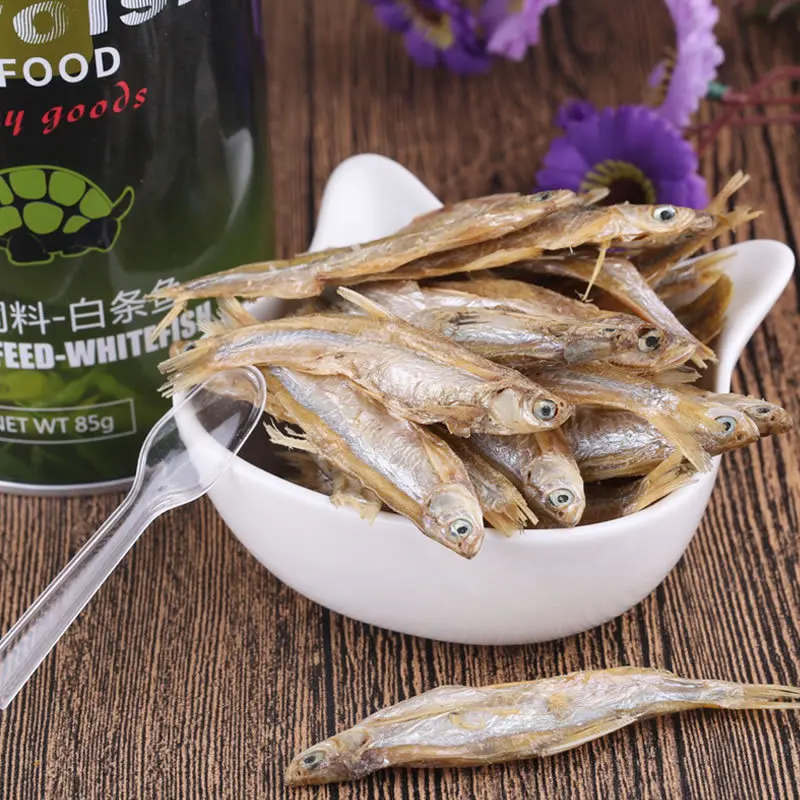 Tortoise food dry tiny shrimp price dried grasshopper dried mealworm dried fish pet food