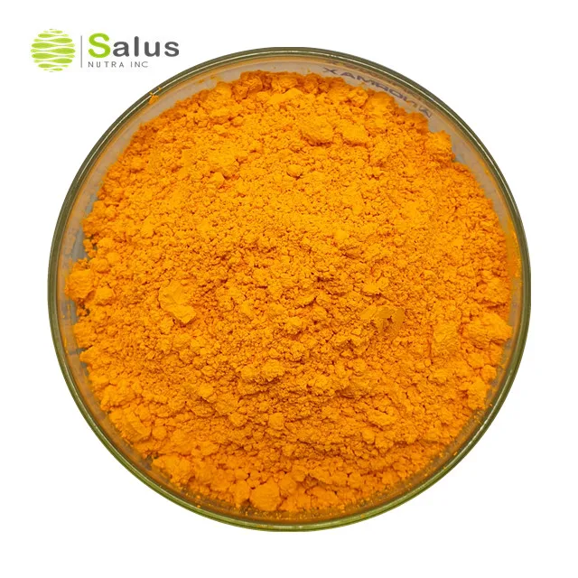 Manufacturer best selling curcumin price