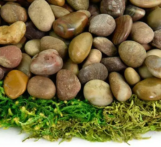 Decorative Pebbles for Plants and Vases - Blue Pastel Accents - Natural Stone Top Dressing for Potted Plants and Succulents