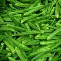 HOT HOT HOT!!! FROZEN LADY FINGER WITH BEST PRICE HIGH QUANTITY FOR EXPORTING FROM VIETNAM