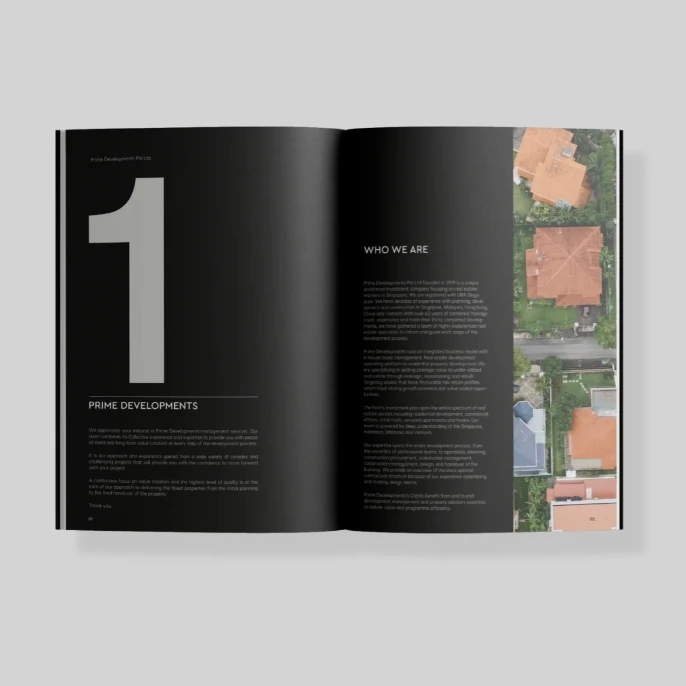 Customized Size Business Brochure Product Picture Introduction Manual Catalogue Specification Brochure