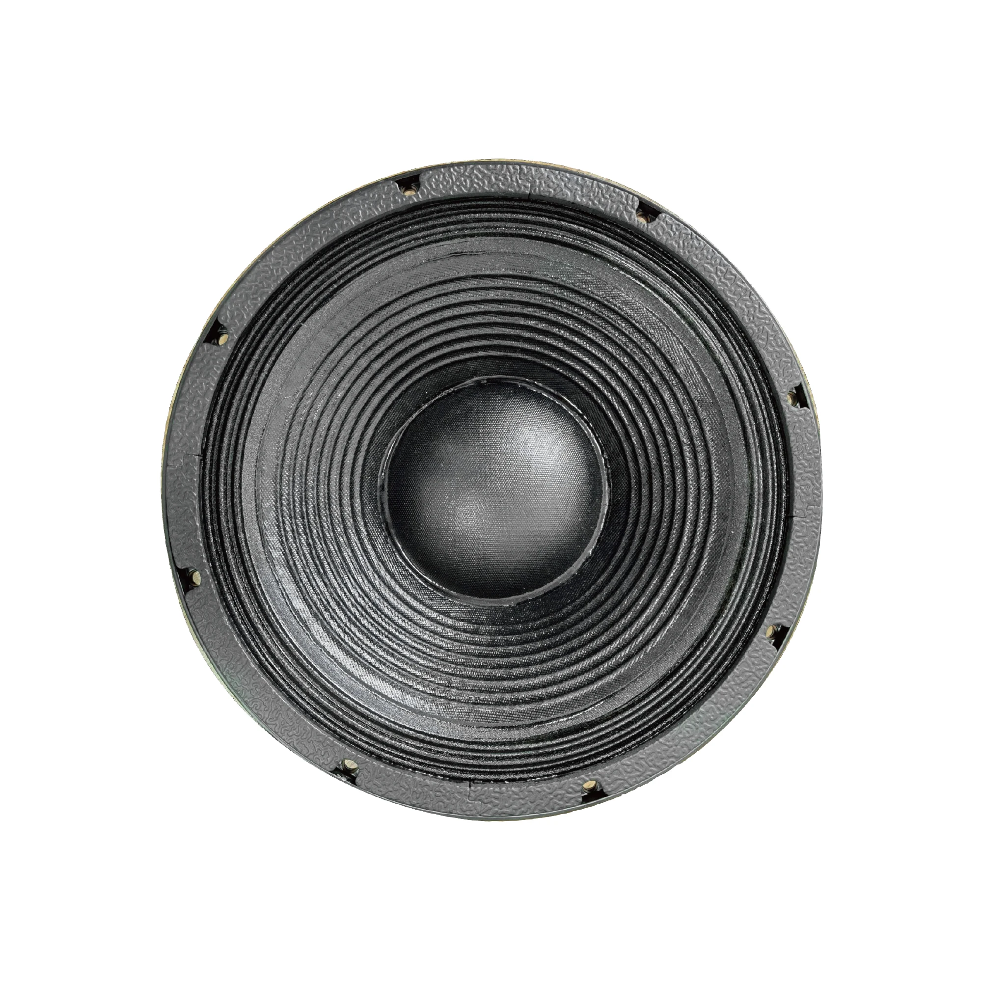 Accuracy Pro Audio 12BCM100 10 Inch Professional Woofer Can be paired with Wooden Speakers Line Array Speakers