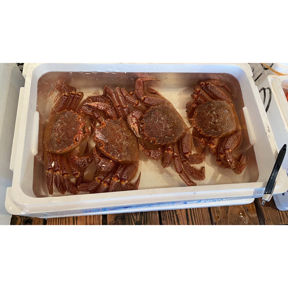 Упаковочная коробка морепродукты свежий замороженный Краб конского волоса сделано в