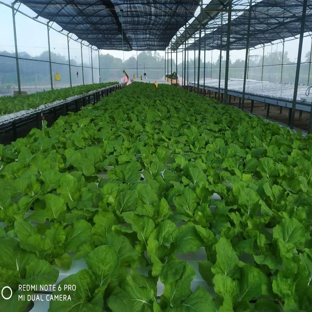 Структура теплицы с гидропонной системой NFT grow tube