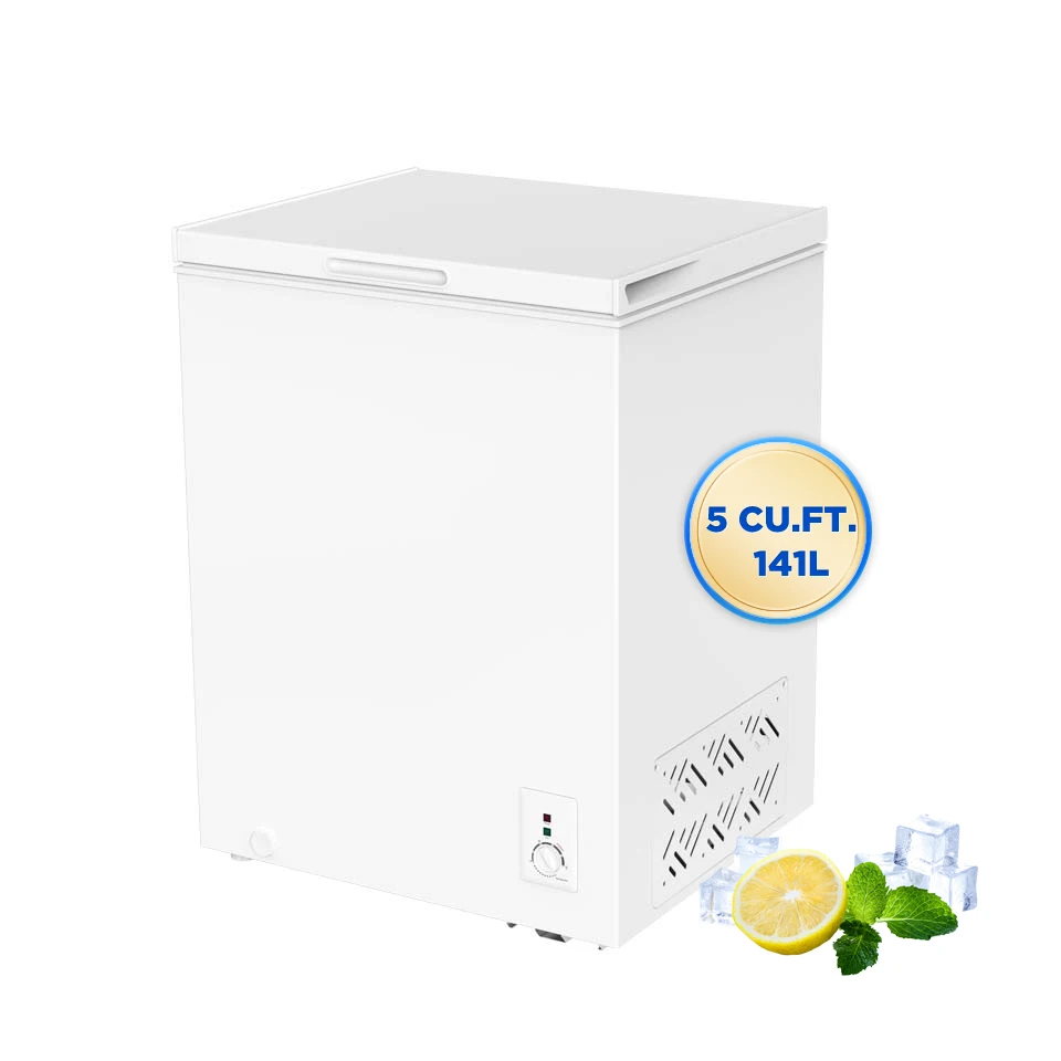 Factory Direct Sale 100L 150L 200L 300L Horizontal Chest Freezer with Adjustable Feet