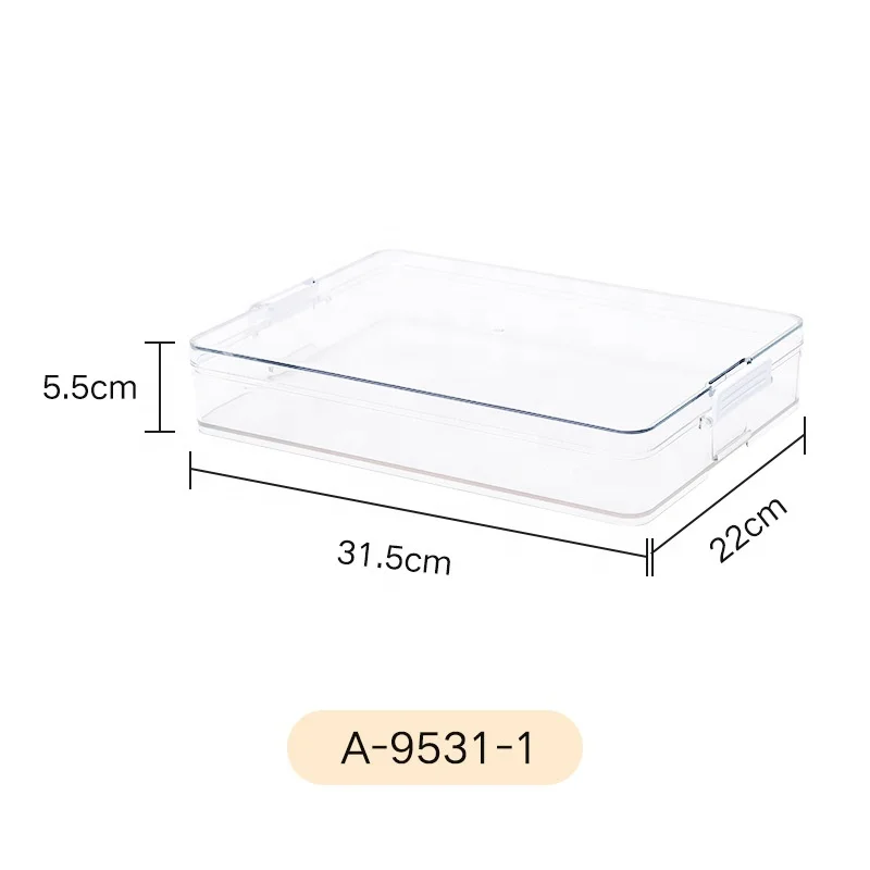 Widely Used Special Design Cheap Fridge Storage Containers Plastic Storage Box For Home